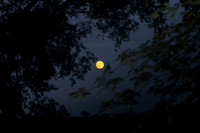 IMG_2575-Edit